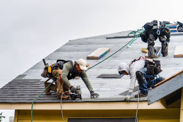 Professional Roofing technician working in Newhall, IA